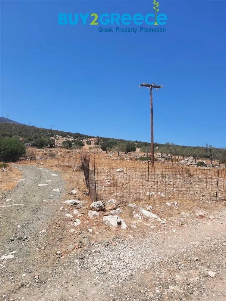 Οικόπεδο 5500τ.μ.  - 5