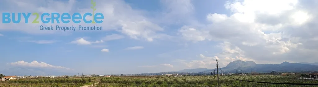 Αγροτεμάχιο 9500τ.μ.  - 2