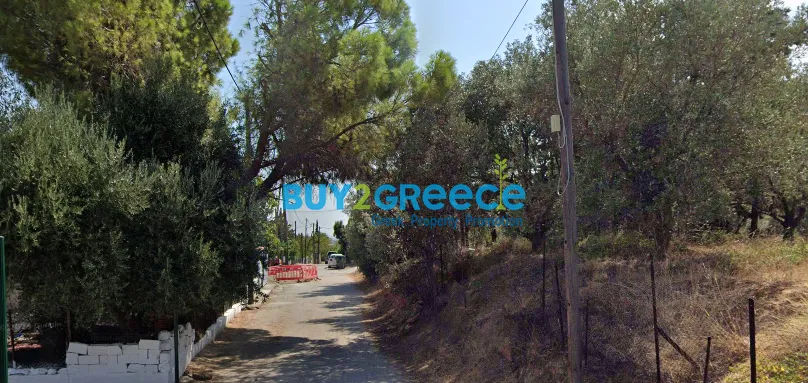 Plot 251m²  - 3