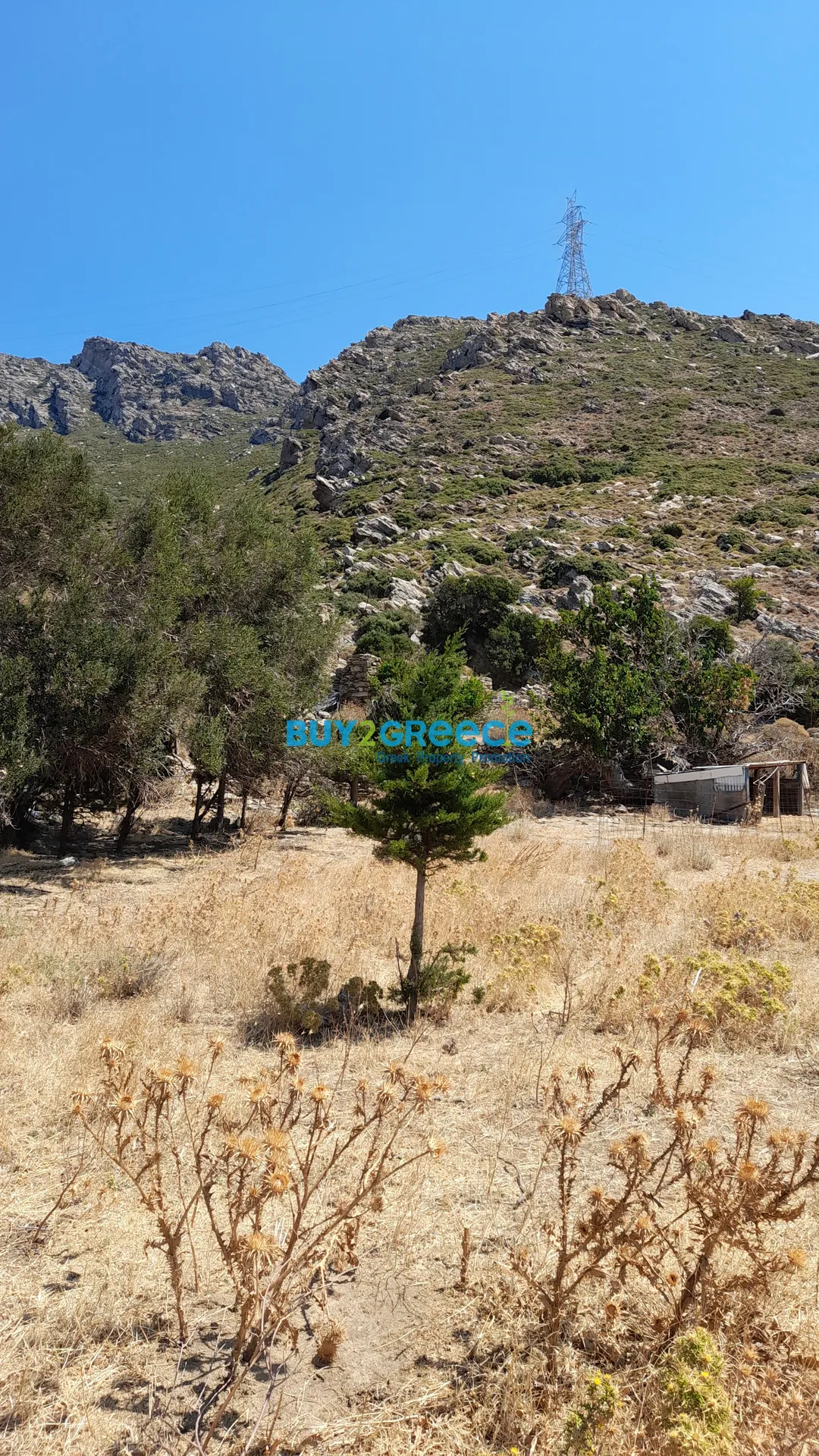 Οικόπεδο 2622τ.μ.  - 3