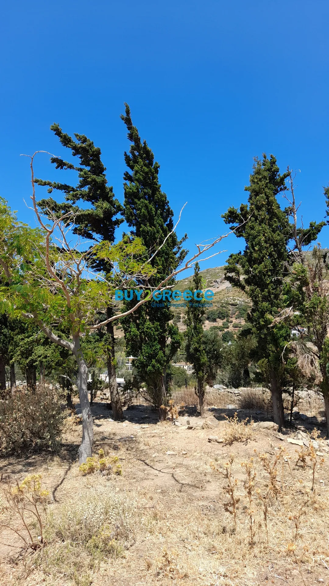 Οικόπεδο 2622τ.μ.  - 5