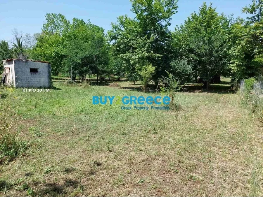 Οικόπεδο 4623τ.μ.  - 2