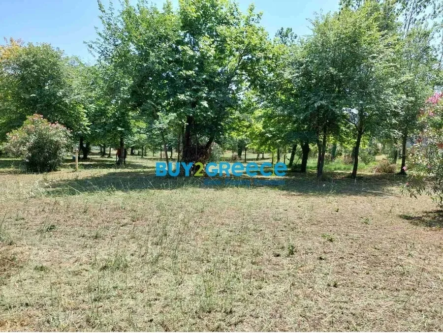 Οικόπεδο 4623τ.μ.  - 3