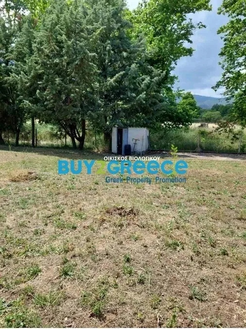 Οικόπεδο 4623τ.μ.  - 4