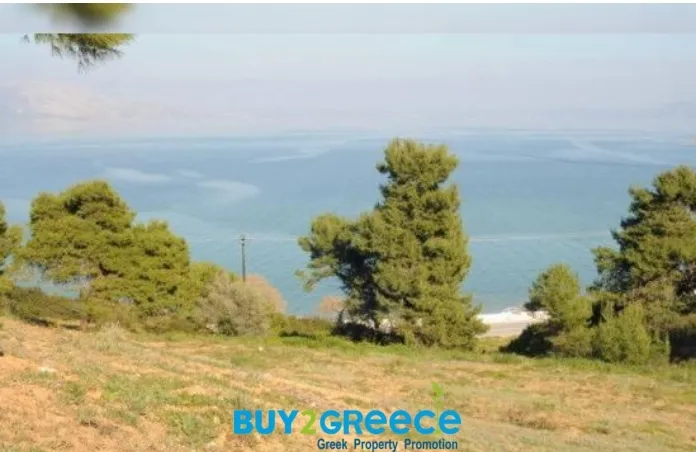 Οικόπεδο 12000τ.μ.  - 2