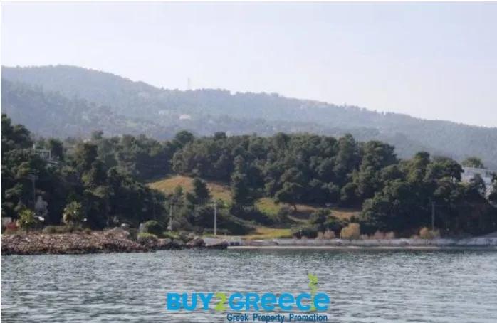 Οικόπεδο 12000τ.μ.  - 3