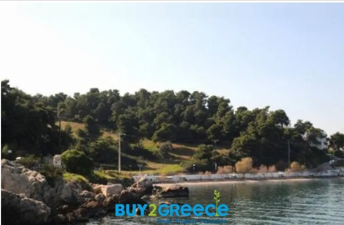 Οικόπεδο 12000τ.μ.  - 4