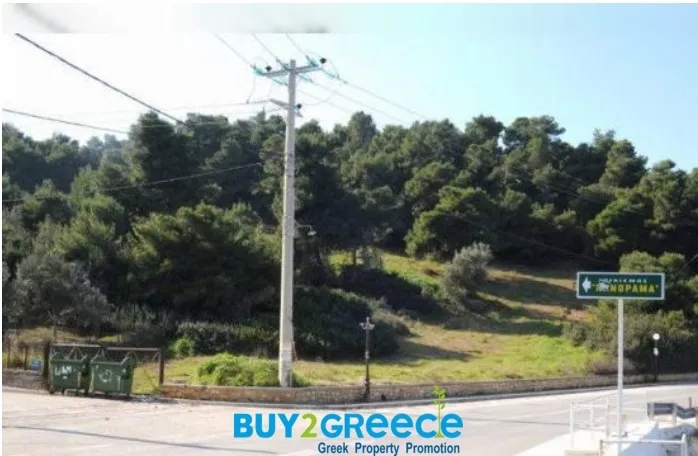 Οικόπεδο 12000τ.μ.  - 5