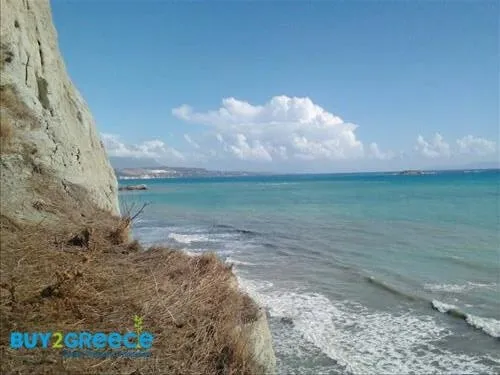 Αγροτεμάχιο 17000τ.μ.  - 3