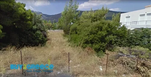 Οικόπεδο 501τ.μ.  - 3