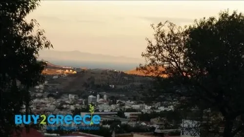 Αγροτεμάχιο 5000τ.μ.  - 2