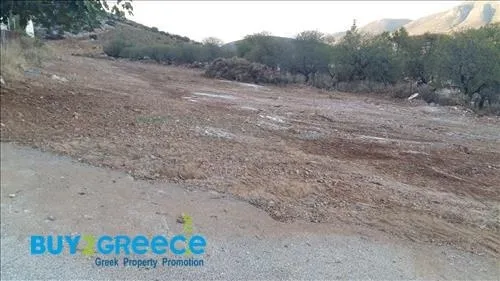 Αγροτεμάχιο 5000τ.μ.  - 3