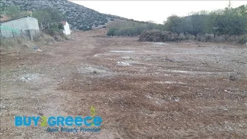 Αγροτεμάχιο 5000τ.μ.  - 4