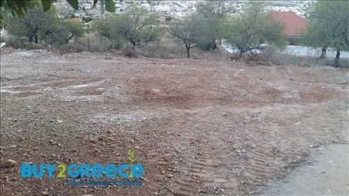 Αγροτεμάχιο 5000τ.μ.  - 5