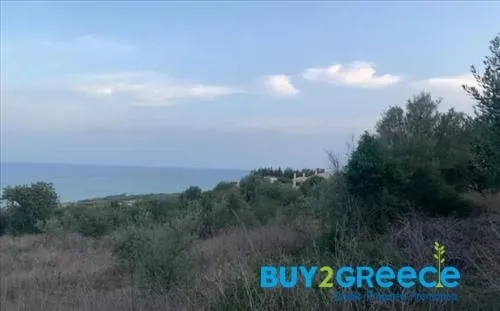 Land Parcel 7800m²  - 2