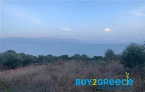 Land Parcel 7800m²  - 3