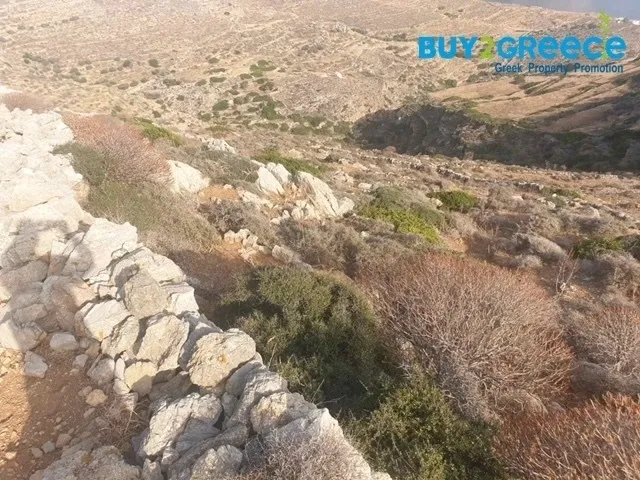 Αγροτεμάχιο 23125τ.μ.  - 3
