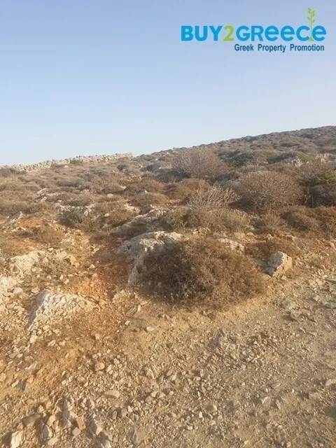 Αγροτεμάχιο 23125τ.μ.  - 4