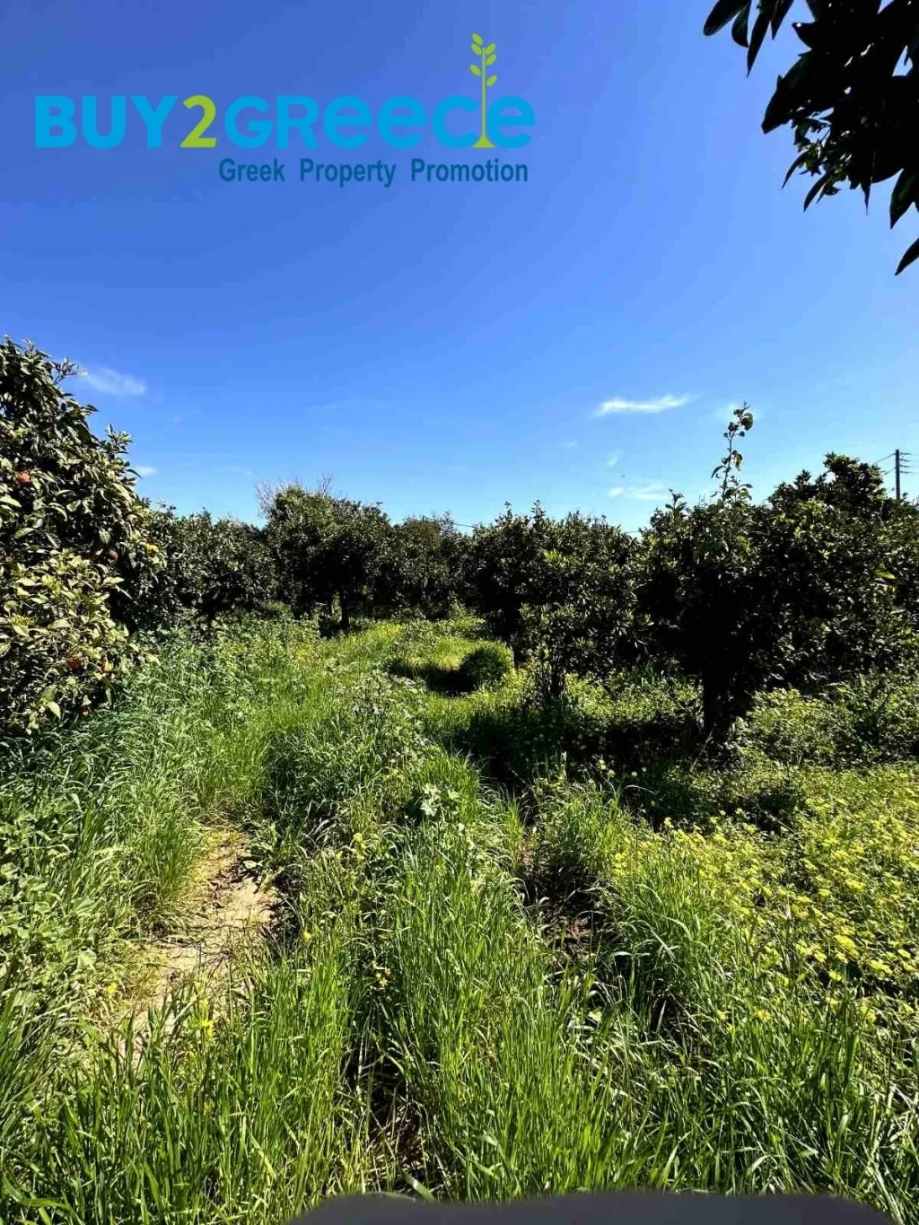 Plot 17371m²  - 2