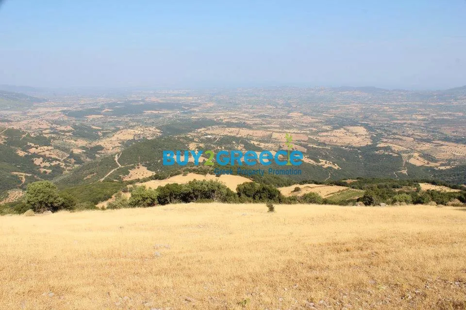 Other .. 29000m² Area  - 3