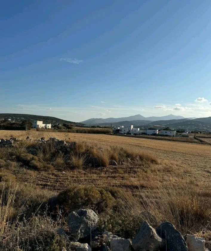 Οικόπεδο 7766τ.μ.  - 3