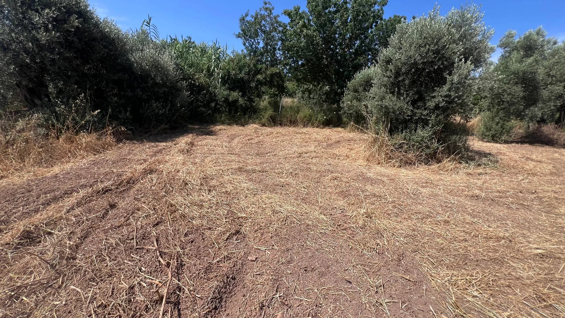 Οικόπεδο 1152τ.μ.  - 2