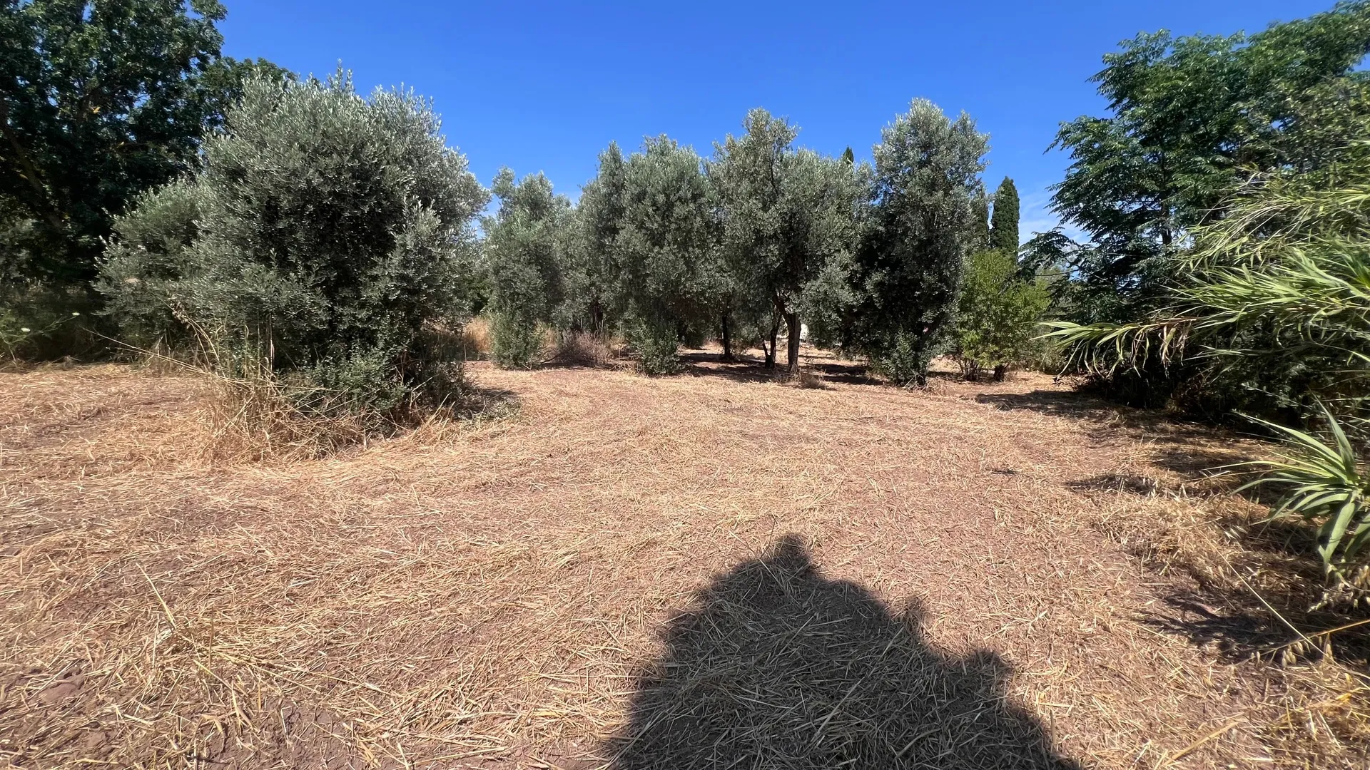 Οικόπεδο 1152τ.μ.  - 3