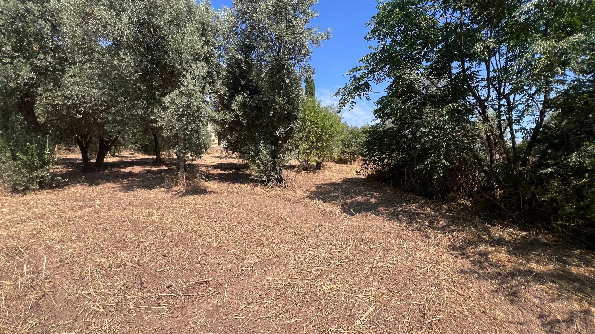 Οικόπεδο 1152τ.μ.  - 4