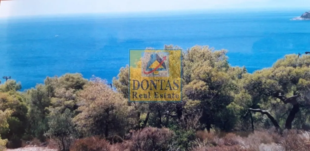 Plot 4170m²  - 5