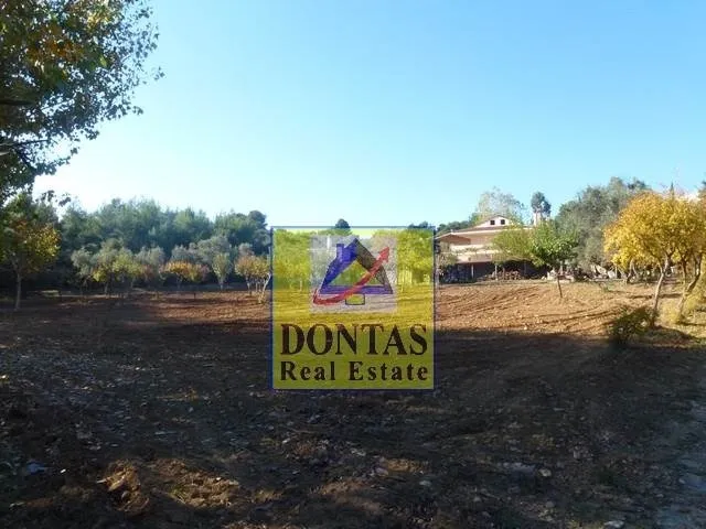 Detached house 330m²  - 2