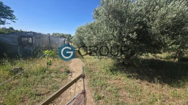 Αγροτεμάχιο 2500τ.μ.  - 3