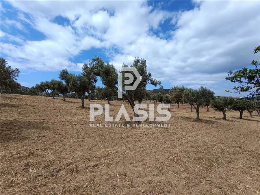 Other .. 150m²  - 2