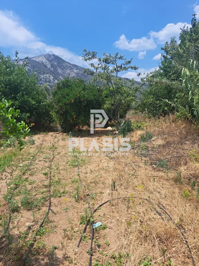 Αγροτεμάχιο 2875τ.μ.  - 4