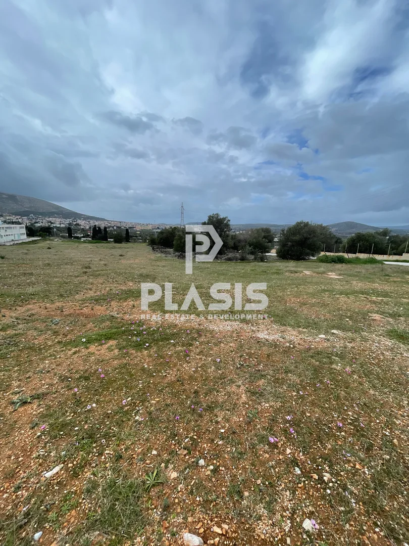 Αγροτεμάχιο 6874τ.μ.  - 2