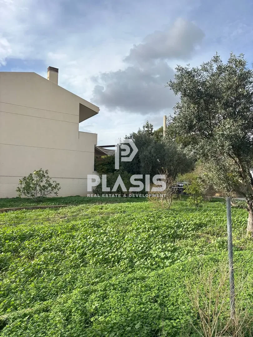 Οικόπεδο 785τ.μ.  - 3