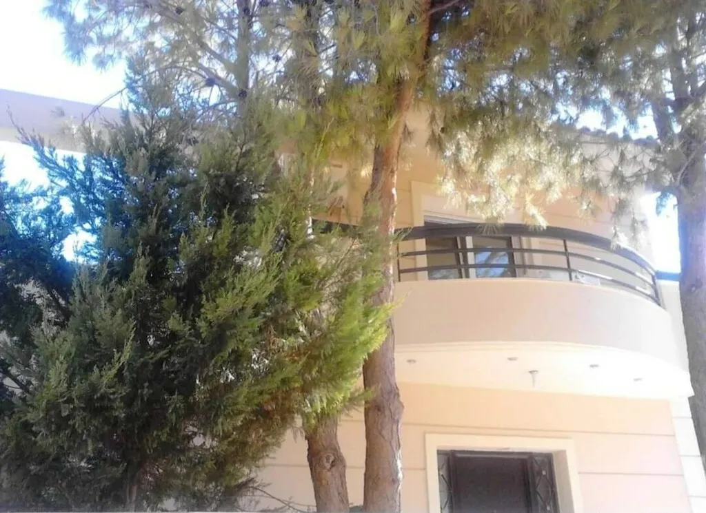 Μονοκατοικία 250τ.μ.  - 3