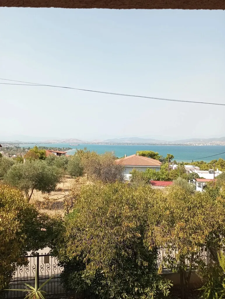 Μονοκατοικία 250τ.μ.  - 3