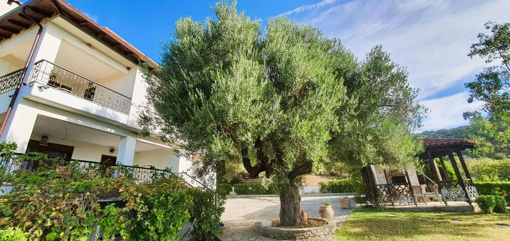 Detached house 300m²  - 3
