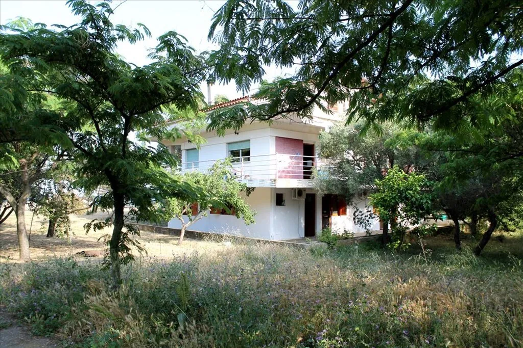 Άλλο.. 730τ.μ.  - 5