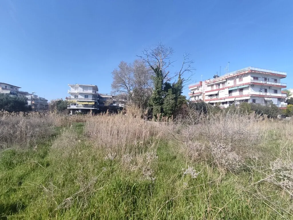 Οικόπεδο 2200τ.μ.  - 2