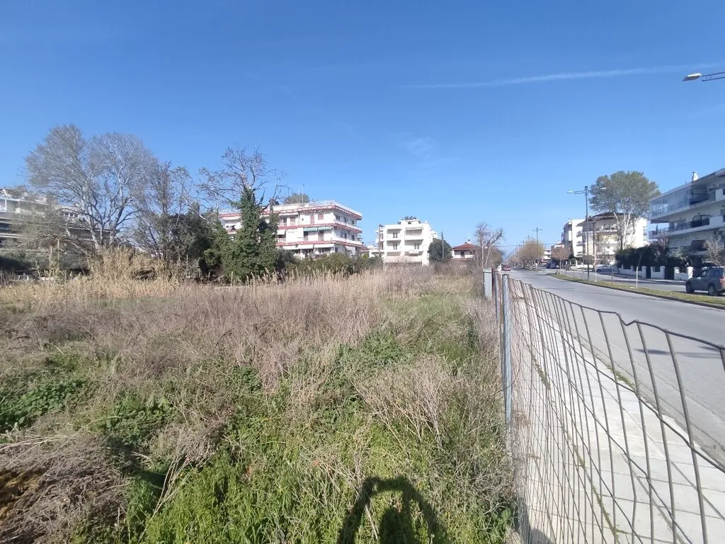 Οικόπεδο 2200τ.μ.  - 5