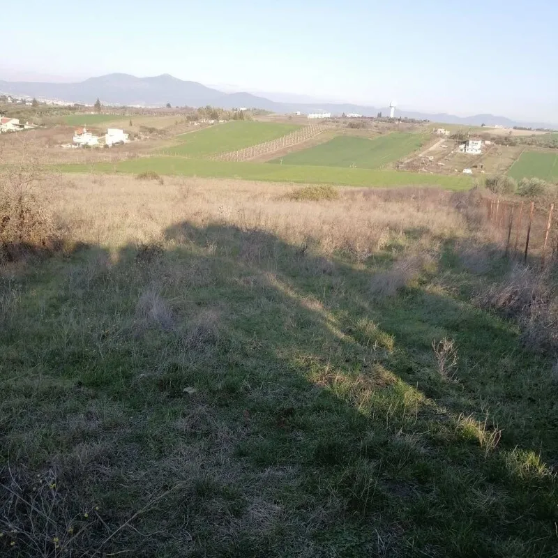 Plot 5856m²  - 3