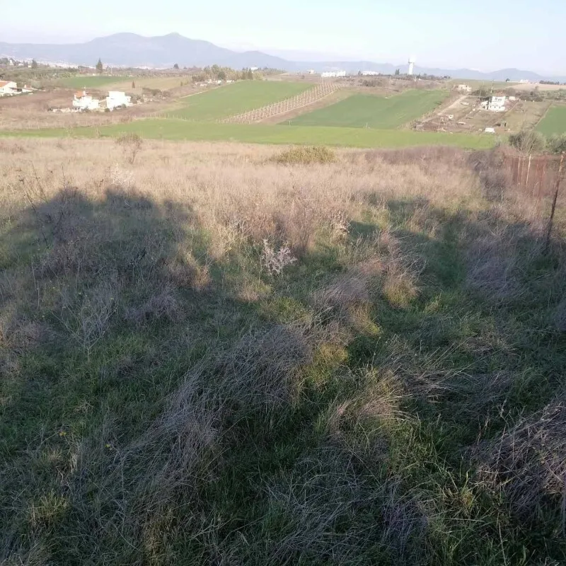 Plot 5856m²  - 4