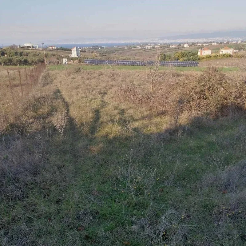Plot 5856m²  - 5