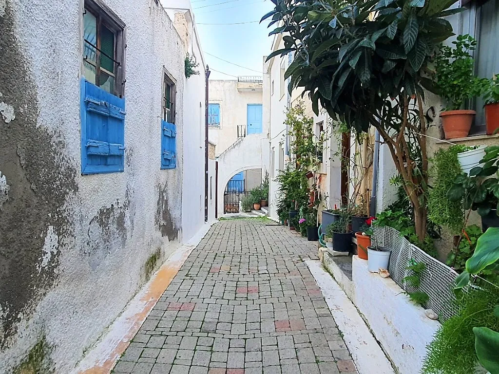 Μονοκατοικία 150τ.μ.  - 4