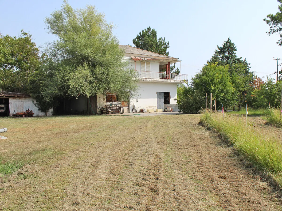 Detached house 180m²  - 2