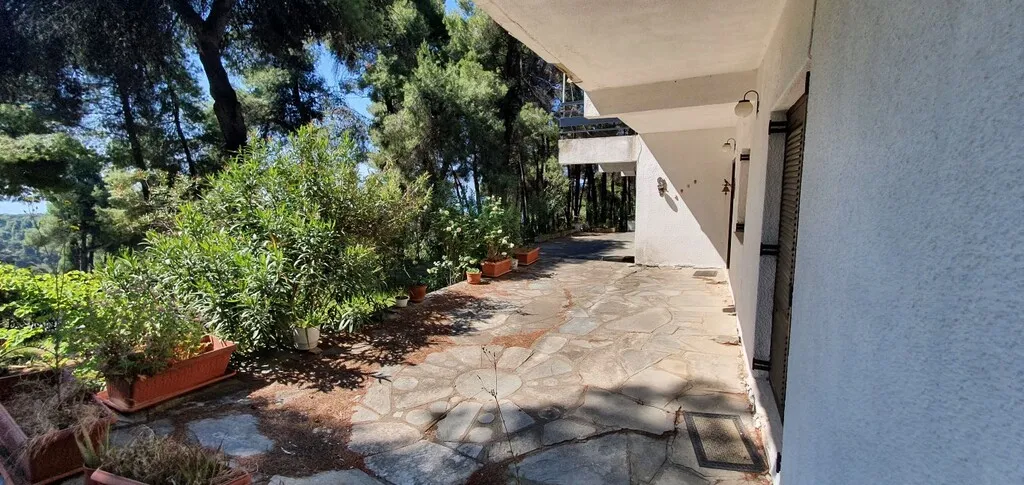 Detached house 440m²  - 3