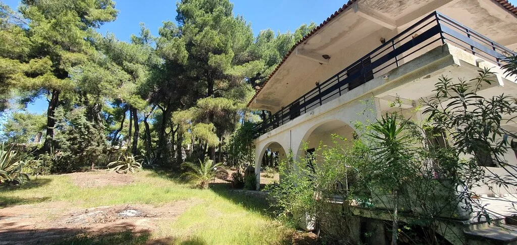 Detached house 440m²  - 4