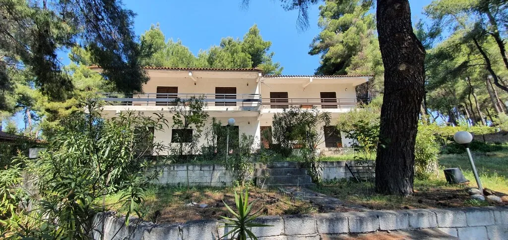 Detached house 440m²  - 5