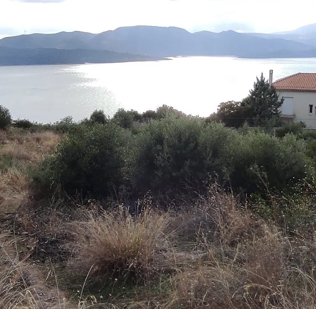 Οικόπεδο 1020τ.μ.  - 2